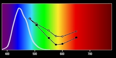 Spectra of various white light sources.