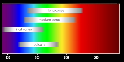 Scotopic, mesopic, and photopic color response ranges of human eye.