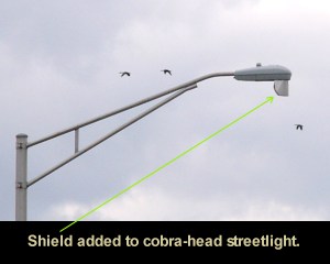 Shield added to a cobra-head streeetlight to reduce light trespass into adjacent area.